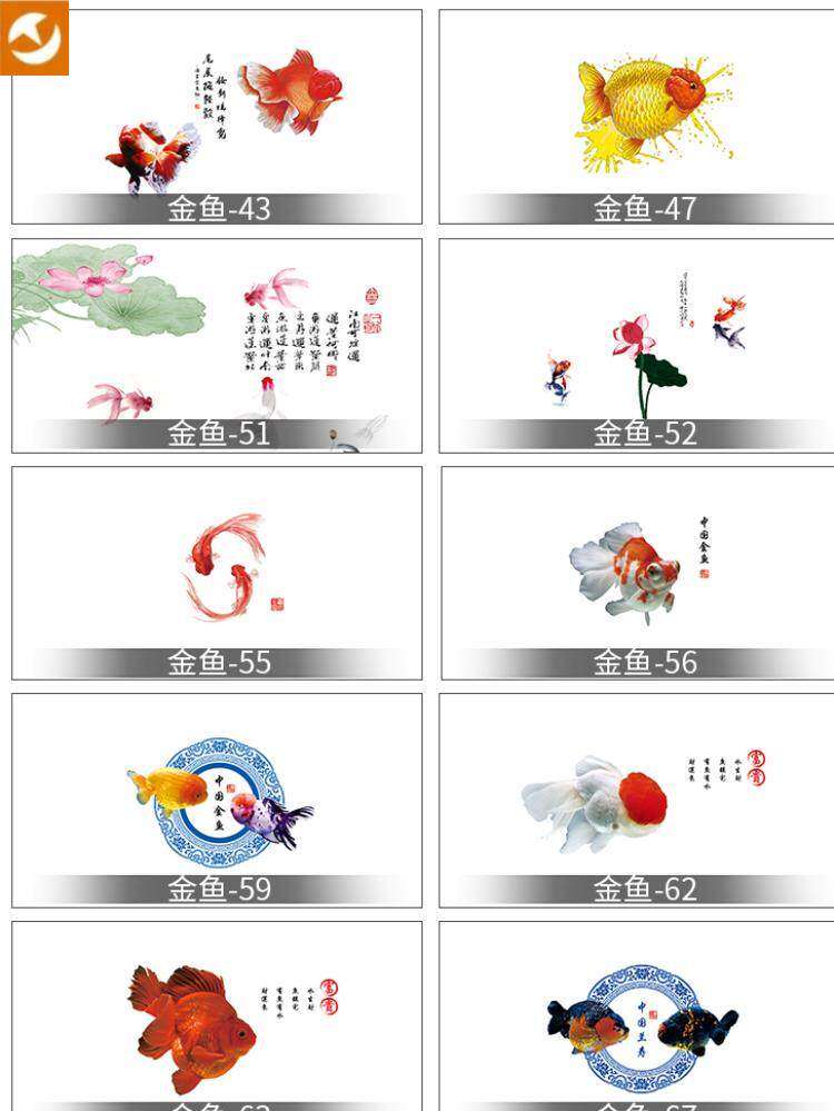 新款鱼缸红寿泰鹅头造景泰狮订做兰寿金鱼壁画贴纸立体背景