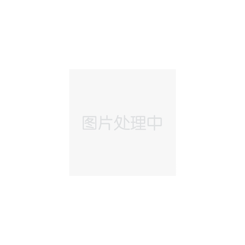 广汽传祺影新交规车牌架