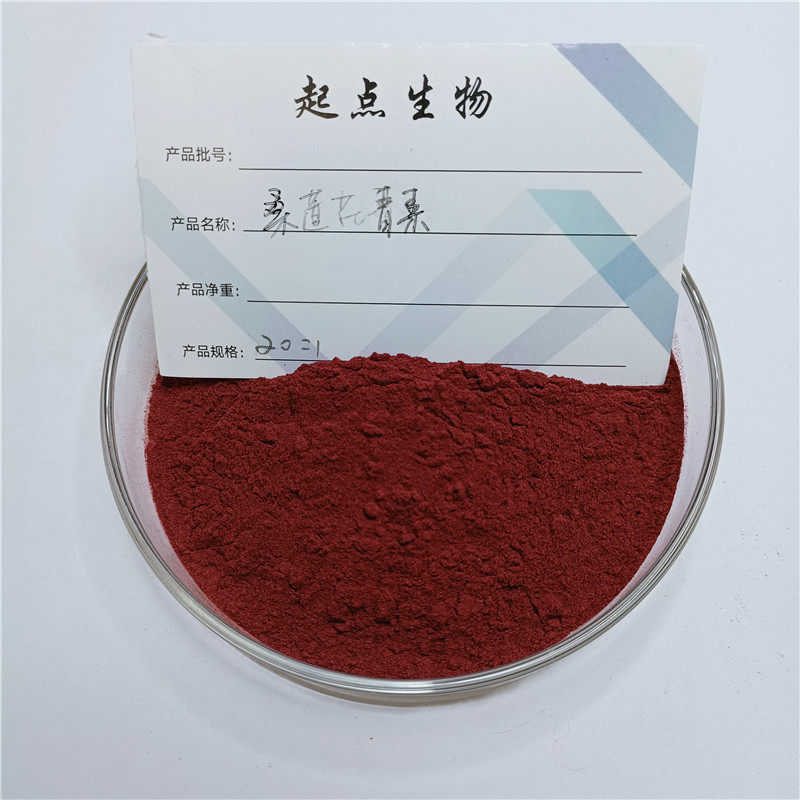 25%桑葚花青素桑葚果提取物浓缩精华粉水溶粉 赠送量勺