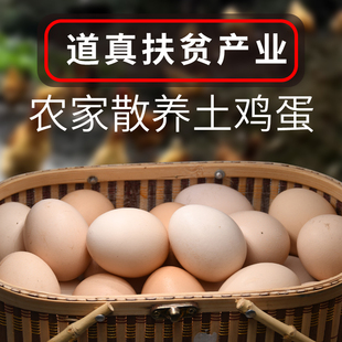 土鸡蛋农家散养土鸡蛋当日现捡现发40枚 遵义道真