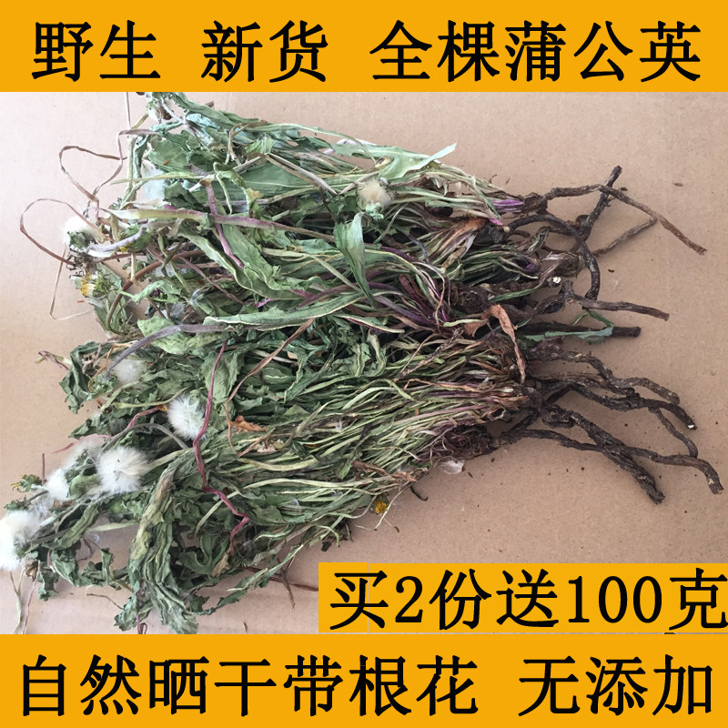 野生蒲公英带根干婆婆丁新鲜叶子整颗棵全草花茶特级株纯天然1斤