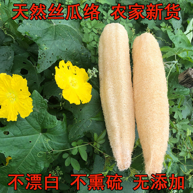 丝瓜络农村天然丝瓜瓤洗碗布不沾油厨房洗碗刷百洁布锅刷洗碗神器