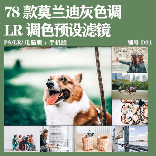 LR预设滤镜莫兰迪色调风景人像欧美风手机版电脑版PS滤镜调色插件