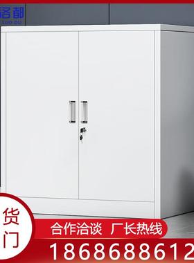 永信洛都矮柜钢制铁皮柜储物柜文件柜财务办公柜资料柜员工档案柜