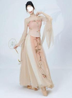 2025新款古典舞蹈服仙气身韵汉唐纱衣飘逸摆裙中国舞练功演出表演