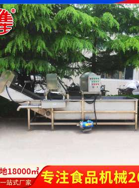 循环水式气泡清洗机不锈钢大姜竹笋果蔬喷淋清洗机冲浪净菜设备