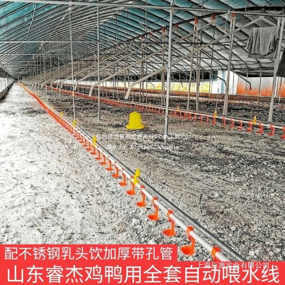 全套鸡用自动水线饮水器养殖设备养鸭用品鸡用自动饮鸡鸭水线配件