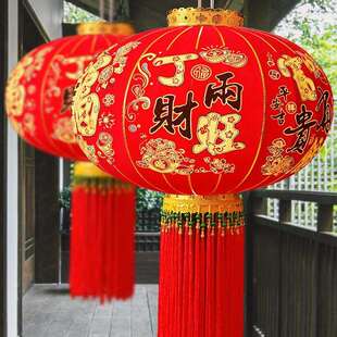 灯笼新款2025红灯笼吊灯挂饰过年春节新年阳台大门口一对丁财两旺