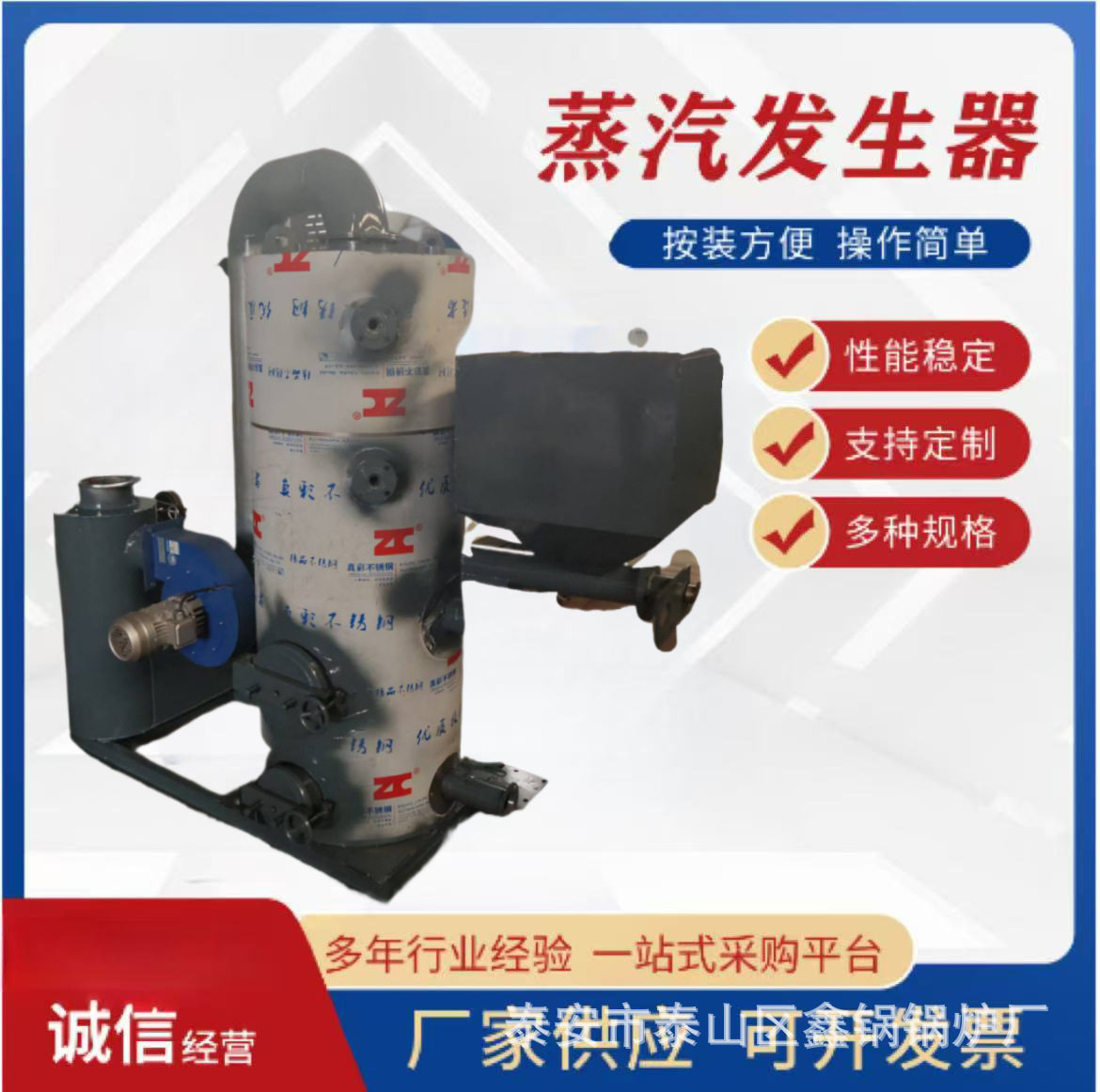 蒸汽发生器小型多功能烤箱油烟清洗蒸汽消毒蒸汽锅炉