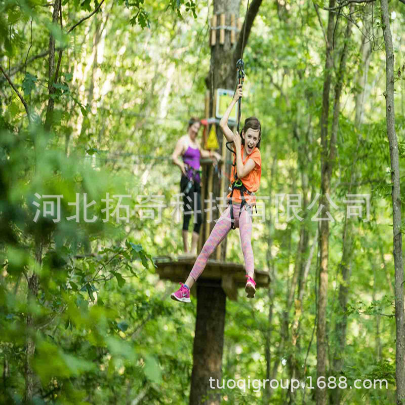 树上丛林穿梭户外景区游乐亲子拓展体能拓展休闲娱乐闯关设备