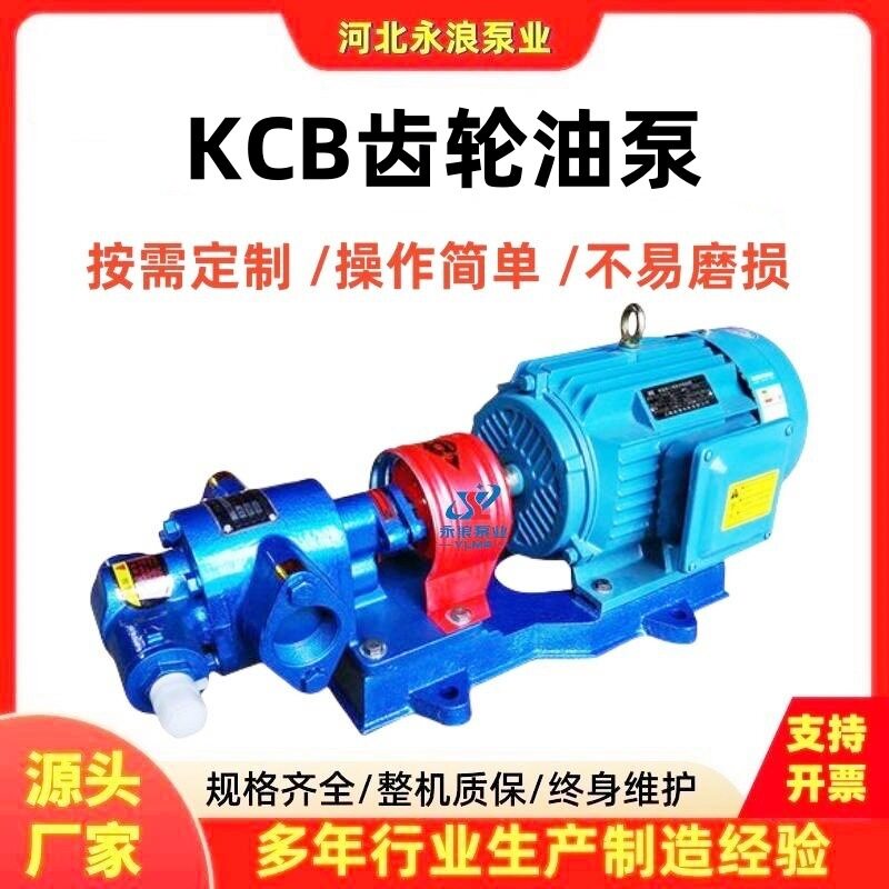 现货直销KCB齿轮泵离心铸铁油泵卧式不锈钢泵耐高温齿轮泵自吸