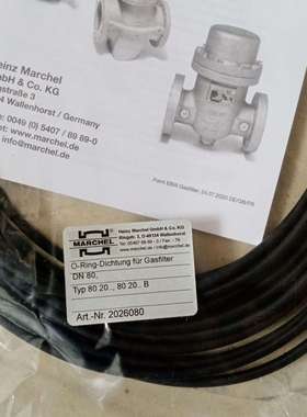 德国MARCHEL过滤器 Typ 150 20 06  DN150 MOP/PS 6bar