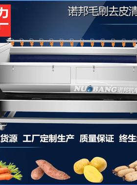 根薯类去皮清洗机不锈钢红薯去皮机商用地瓜清洗设备多用一体