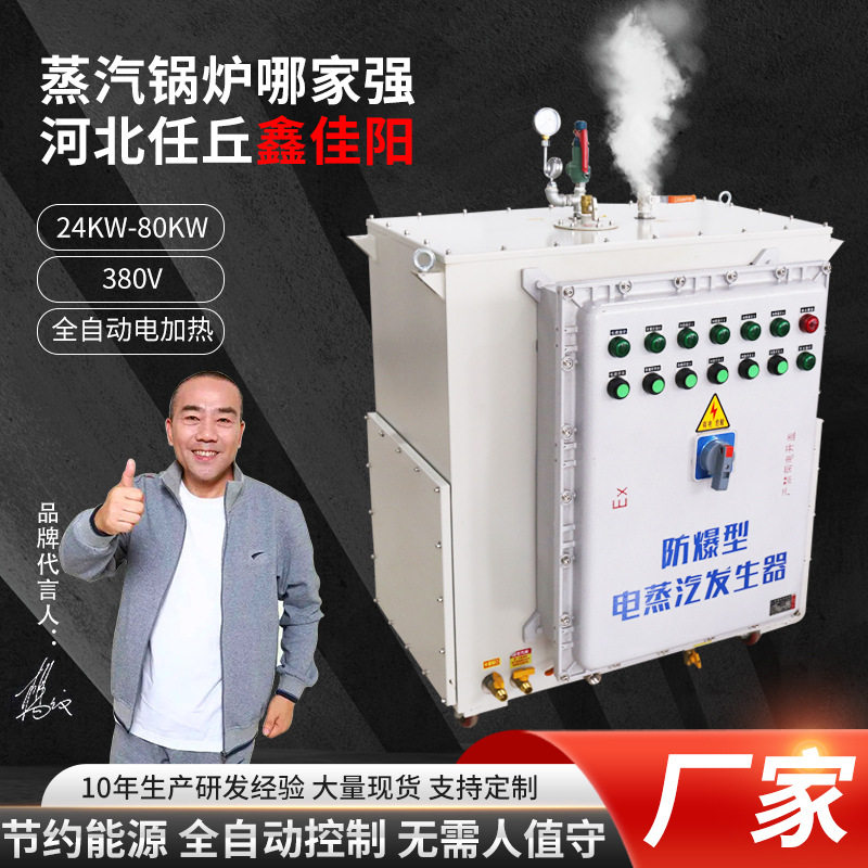 厂家全自动防爆型电蒸汽发生器加热蒸汽锅炉水泥养护服装整烫