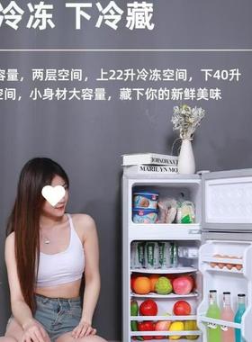 2025新款冰箱家用双门小型二人迷你冰柜冷冻冷藏宿舍节能家电电器