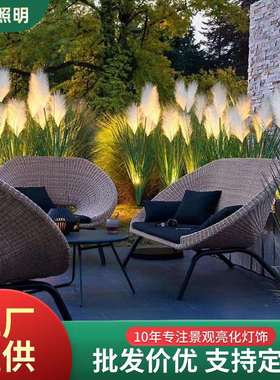 芦苇灯户外防水公园亮化草坪灯地插灯仿真五头盆景花园装饰景观灯