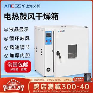 艾析电热鼓风干燥箱实验室高温小型烘干机高温烘箱恒温工业用烤箱