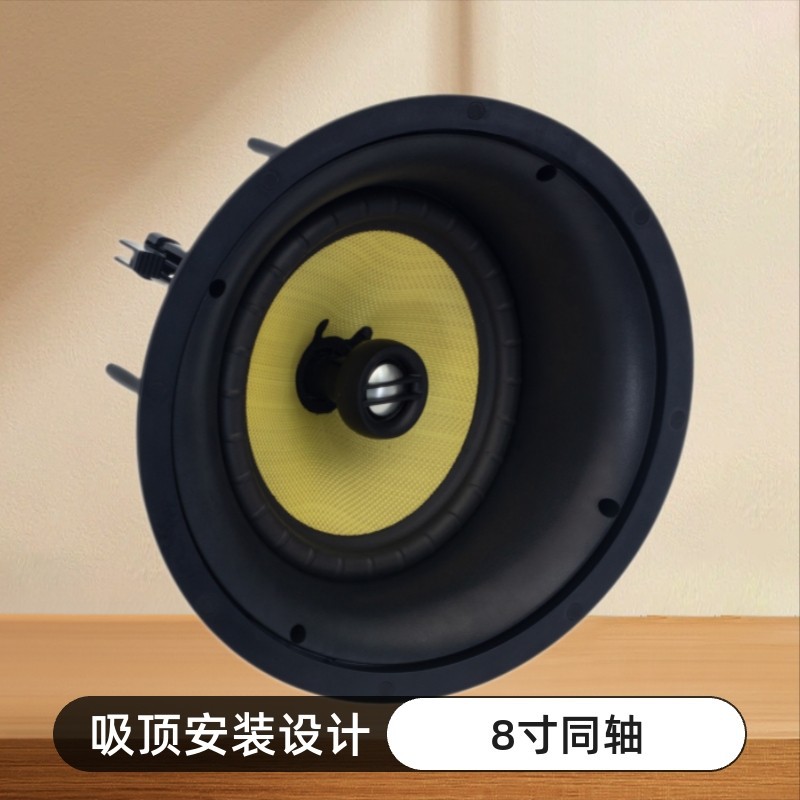 天籁工程家用定阻8寸两分频同轴编织盆斜面式吸顶喇叭音箱tl--918