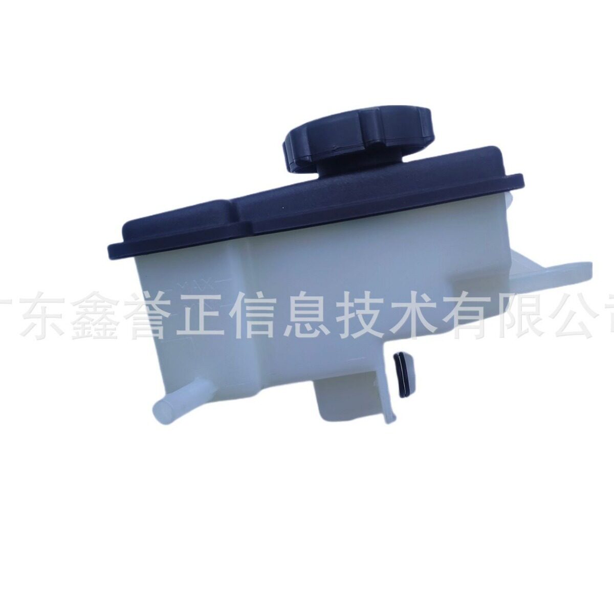 福特蒙迪欧2.0助力泵油壶