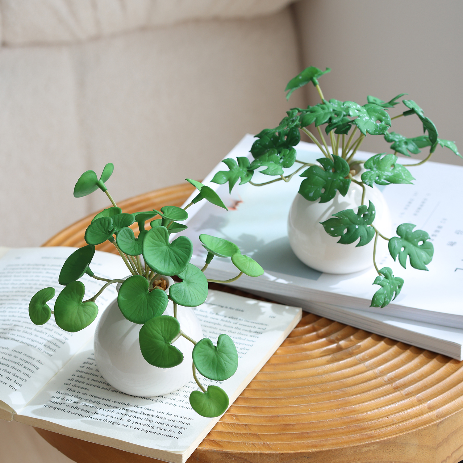 高级感森系手感仿真植物小盆栽