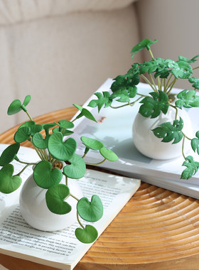 高级感森系手感仿真植物小盆栽