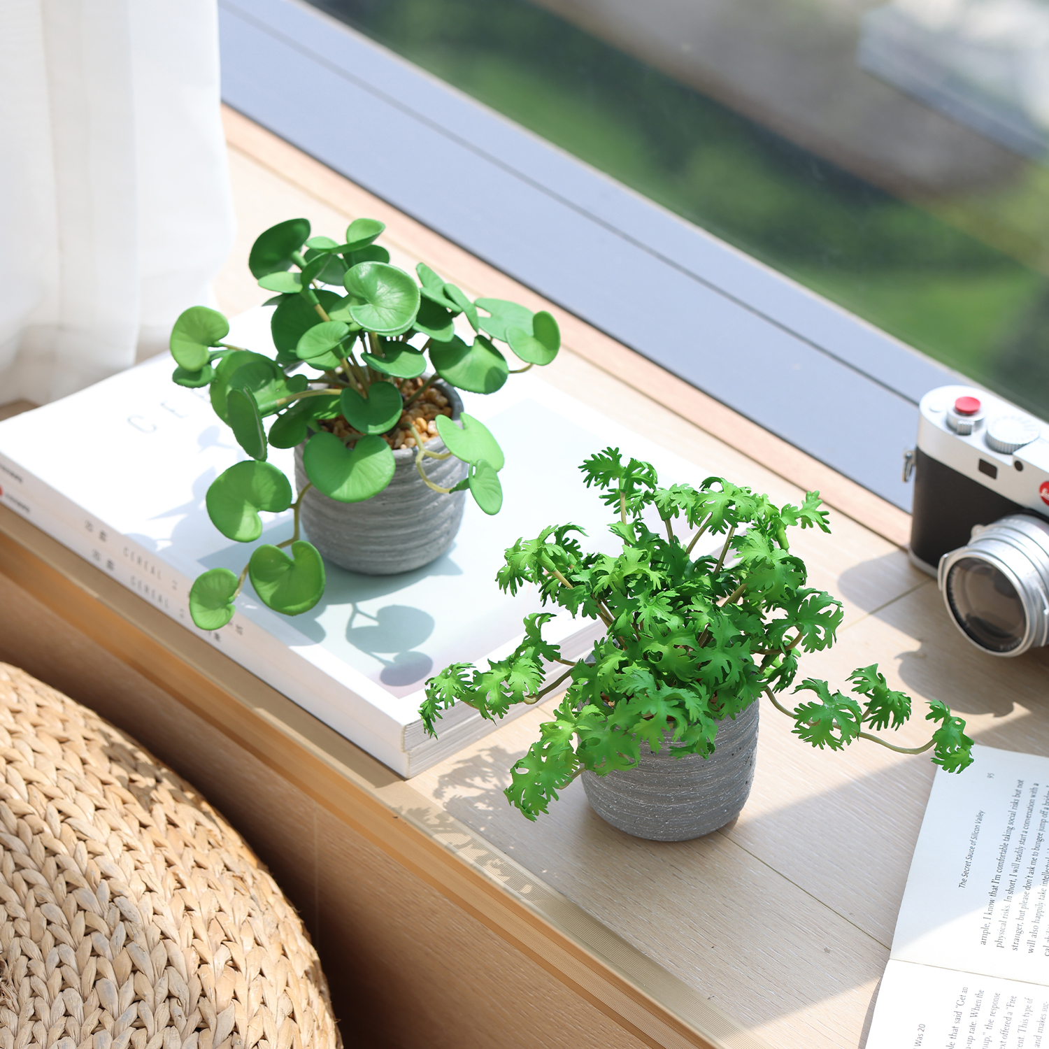 高级感逼真森系仿真绿植小盆栽