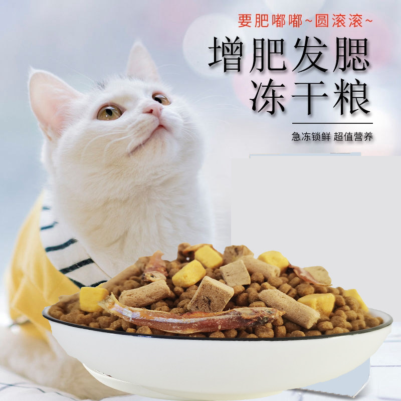 冻干猫粮三文鱼成猫幼猫斤特价