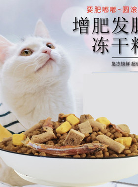 冻干猫粮三文鱼成猫幼猫斤特价