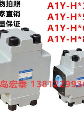 A1Y-Ha32B A1Y-Hb32B A1Y-Ha32L A1Y-Hb32L 折弯机止逆阀 保压阀