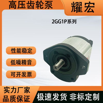 高压齿轮泵2GG1P系列06R