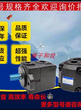 台湾 PV2R3-60/66/76/85/94/108/116-F-1-RUU-40  液压定量叶片泵