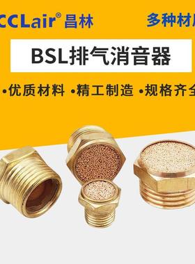 BSLL全cclair铜平头BSM消音1寸气动2不锈器钢2塑料03可调节流4消