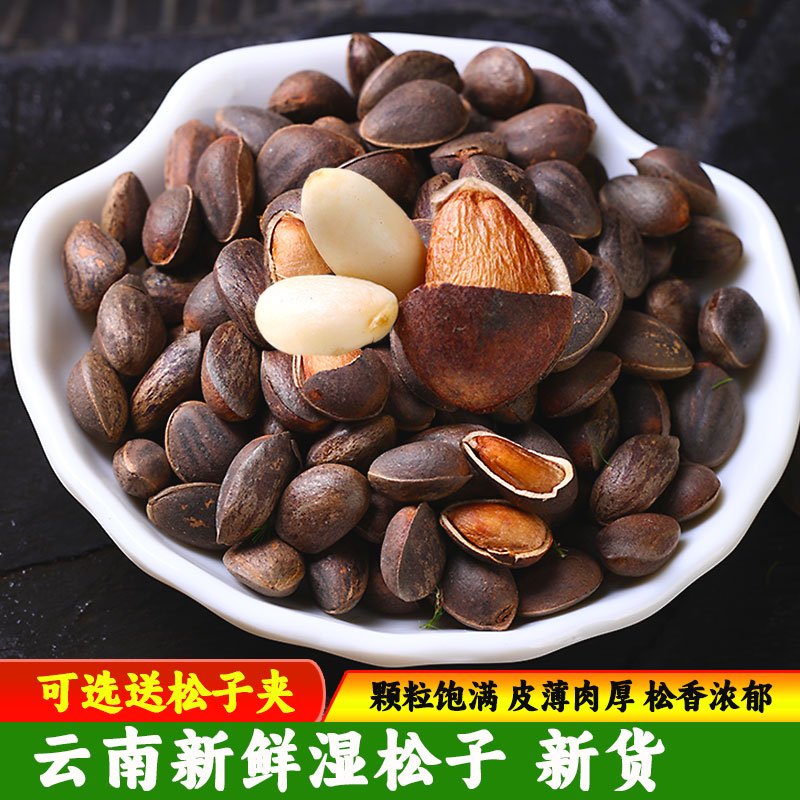 2024年新货云南新鲜落水生松子散装大颗粒手剥孕妇非东北松籽仁