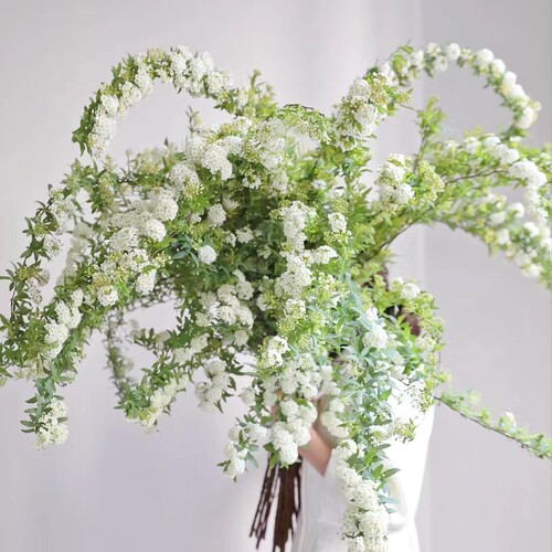 厚积薄发五谷丰登冬日雪柳鲜花