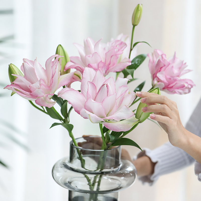 重瓣百合花鲜花云南直发百合花顺丰空运包邮 A级百合水养鲜花-封面