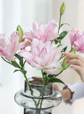 云南直发重瓣百合花水养鲜花