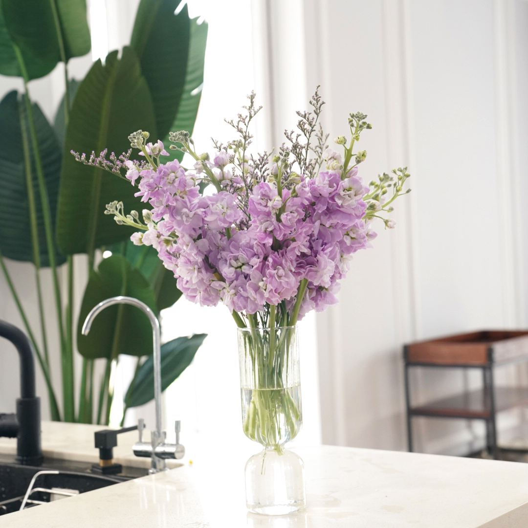 紫罗兰鲜花有香味珠光质感