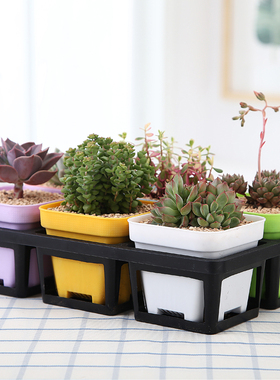 塑料花盆托盘加厚大黑方托架白色小号多肉花盆育苗盘蓄水底座架