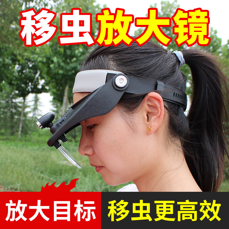 移虫放大镜育王取浆头戴式带LED灯 养蜂工具蜜蜂用头灯扩大镜蜂箱