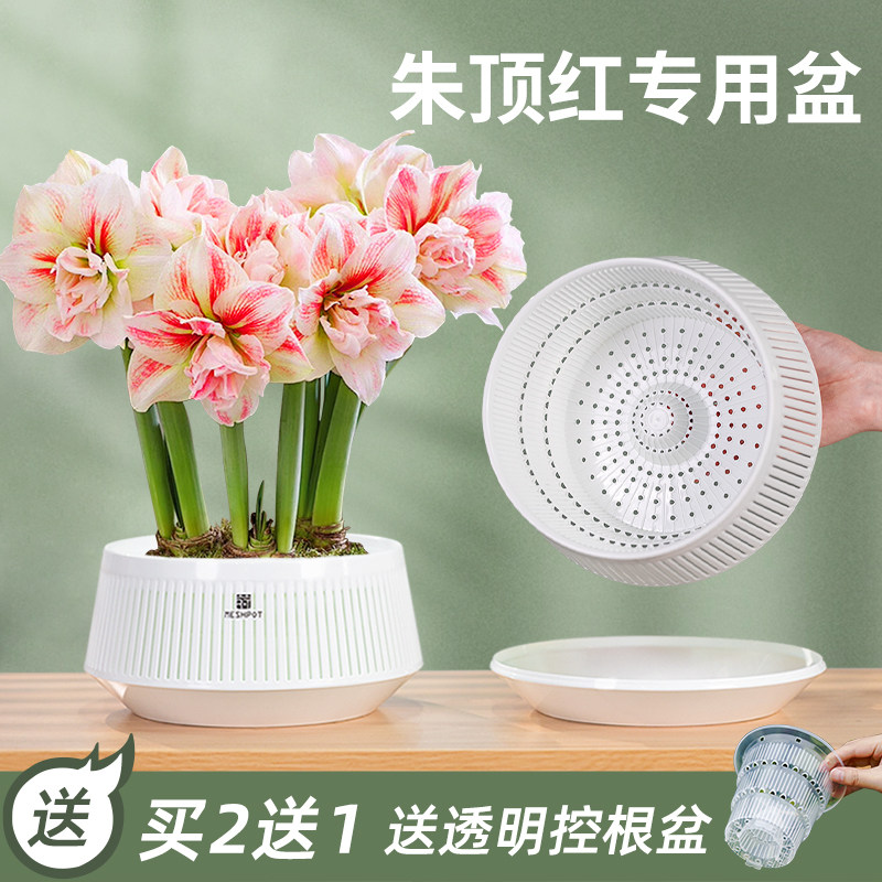 新款美莳朱顶红专用花盆球根水仙郁金香土培控根青山轻奢高级感,鲜花速递/花卉仿真/绿植园艺,花盆,淘宝优惠券,粉丝福利购,淘宝优惠卷
