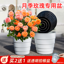 美莳月季玫瑰专用花盆塑料透气超陶瓷防烂根控根阳台爬藤大号扦插