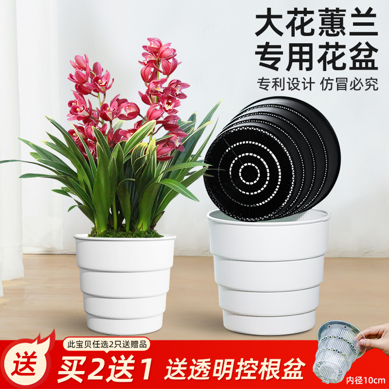 美莳大花蕙兰专用花盆透气透水