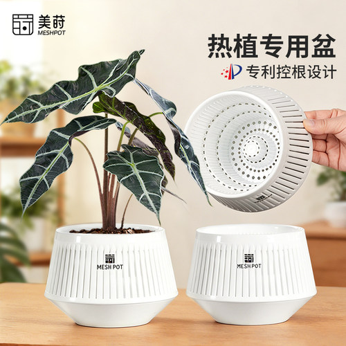美莳热植专用控根盆2025新款
