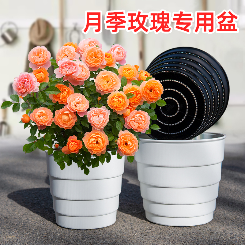 美莳月季玫瑰专用花盆透气防烂根