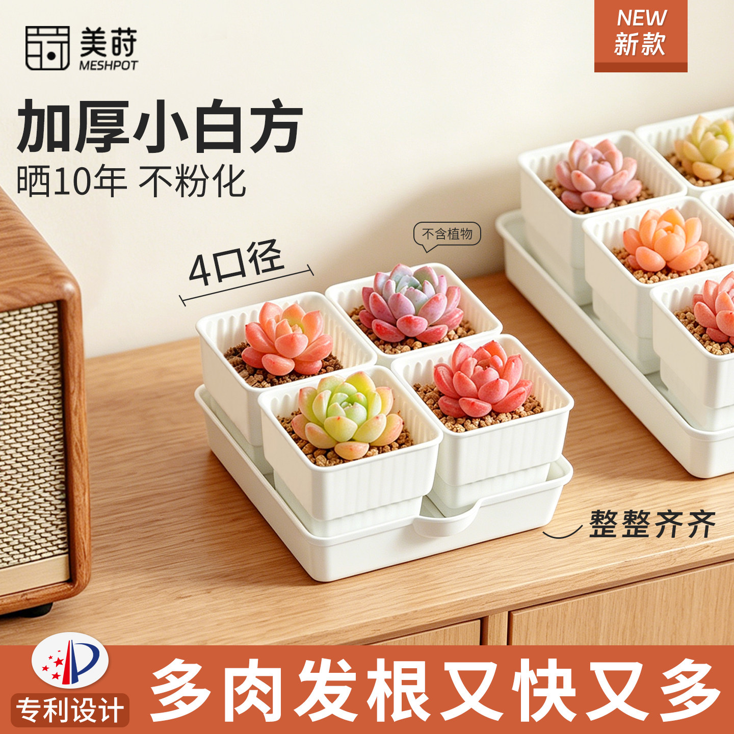 美莳拇指多肉花盆小白方套装组合图片