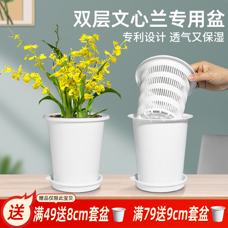 美莳文心兰的专用花盆控根透气塑料梦香蝴蝶兰石斛青山套盆懒人盆,鲜花速递/花卉仿真/绿植园艺,花盆,淘宝优惠券,粉丝福利购,淘宝优惠卷