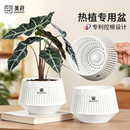 美莳热植专用控根花盆花烛海芋青山块根盆景透气轻奢高级感家用盆