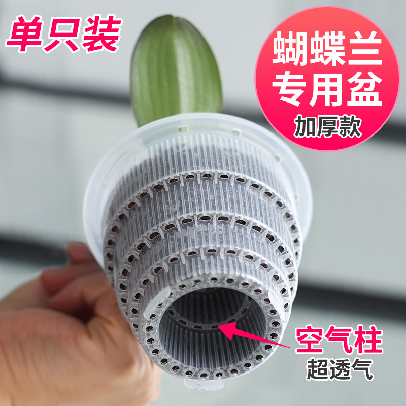 美莳蝴蝶兰专用花盆超透气营养杯图片