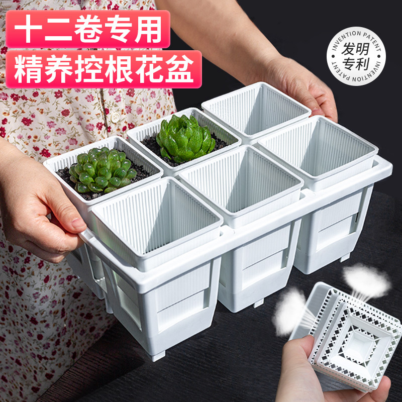美莳玉露万象十二卷专用花盆树脂塑料多肉透气托架老桩控根青山盆,鲜花速递/花卉仿真/绿植园艺,花盆,淘宝优惠券,粉丝福利购,淘宝优惠卷