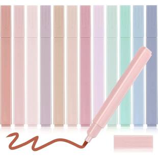 Pens Aesthetic with Bleed and Highlighters Bible Pcs